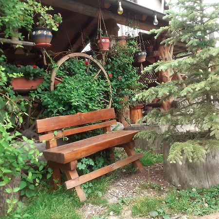 Apartamento Casa In Bucovina Gura Humorului Exterior foto