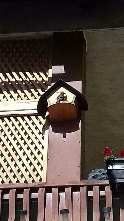 Apartamento Casa In Bucovina Gura Humorului Exterior foto